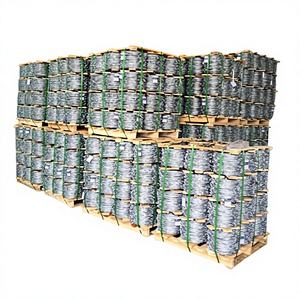 Alambre de Púas de Hierro Plateado con Recubrimiento de Zinc por Inmersión en Caliente, Diámetro de 2.0-2.5 mm, Longitud de 200-300 m - Producto de Proveedor de Alta Calidad - Product Image 1