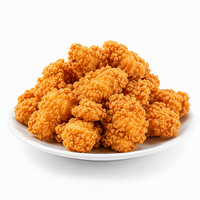 Morceaux de poulet frit surgelés de qualité supérieure, certifiés Halal, croustillants et panés, pour la vente en gros et la restauration rapide