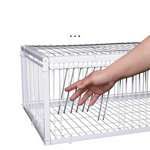 Jaula para <span class=keywords><strong>Palomas</strong></span> con Diseño Unidireccional para Exteriores, con Puerta Automática Oscilante para <span class=keywords><strong>Palomas</strong></span> Mensajeras, Jaula para <span class=keywords><strong>Palomas</strong></span> con Entrada Unidireccional - Product Image 4