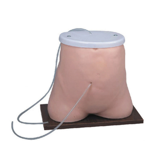 Klinik beceri eğitimi mankeni dayanıklı canlı gelişmiş PVC SC-L64 Peritoneum diyaliz tıbbi modeli - Product Image 2