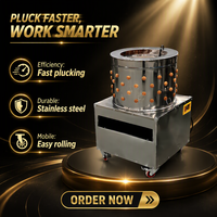 Petite machine à plumer les volailles, poulets et cailles, 220V 110V, moteur en acier, équipement industriel et domestique pour l'épluchage des oiseaux