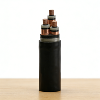 Cable de Cobre de Alta Tensión LSZH, Suministro de Fábrica, Cables de Alimentación con Aislamiento XLPE, Bajo Humo, Libre de Halógenos