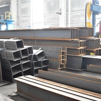 Estructura de Acero Resistente a la Corrosión, Edificio Industrial, Diseño Personalizable, Fabricante, Proveedor, Precio de Fábrica