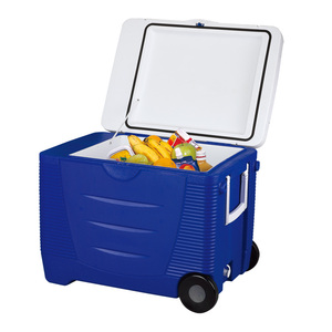 EVERCOOL DC12V 45L <span class=keywords><strong>Grand</strong></span> volume Glacière à bière européenne Refroidisseur Chauffeur Portable Camping Voiture Réfrigérateur <span class=keywords><strong>avec</strong></span> roues et poignée latérale - Product Image 2