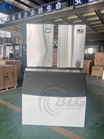 Machine à glaçons gourmet BLG 300 kg
