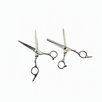 Ensemble professionnel de 2 outils de coiffure, ciseaux à effiler de 6 pouces en acier inoxydable, ciseaux droits pour couper les cheveux