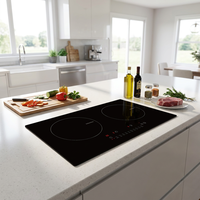 Table de cuisson à induction 24 pouces, double brûleur, 120V 60Hz, encastrable et portable, cuisinière électrique à commande tactile, 1750W