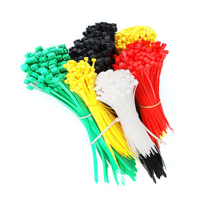 JAGASL Qualité Supérieure 10*<span class=keywords><strong>550</strong></span> nylon bande Serre-Câble En Nylon Autobloquant - Product Image 2