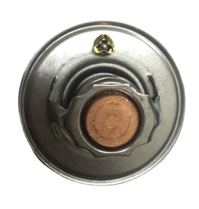 <span class=keywords><strong>Termostato</strong></span> refrigerante motor 83501426AC 52028186 52028186AB 52028186AC - Product Image 2