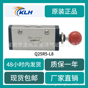 Válvula de Control Direccional Manual de 2 Posiciones y 5 Vías, Neumática, Q25R5 L8, de Empuje Manual, Marca Klh - Product Image 5