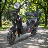 Scooter électrique à deux roues 2026, cyclomoteur, batterie au plomb-acide 48V, vélo électrique pour adultes et usage familial avec dossier passager