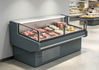 Vitrine Réfrigérée à Viande Sans Givre avec Refroidissement par Air, Compresseur Secop, Type Encastrable et Télécommandé, pour Boucherie