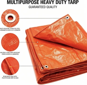 Bâche en polyéthylène sur mesure, bâche PE, <span class=keywords><strong>toile</strong></span> imperméable pour l'agriculture - Product Image 2