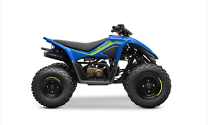 Motor CF0RCE 110 Premium, Monocilíndrico, 4 Tiempos, 107cc, Tipo DIY, Mango de Plástico, Frenos de Disco Hidráulicos OEM/ODM - Product Image 4