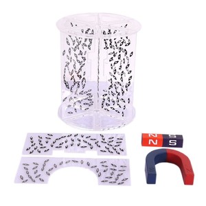 Aparatos de Laboratorio de Física para Escuelas Primarias y Secundarias de la Marca Yulin, Línea de Inducción Magnética 3D, Campo Magnético ISO - Product Image 5