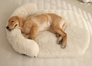 Großhandel Luxus Neuerscheinung Günstiges Waschbares Orthopädisches Wärmendes Memory-Schaum Haustier-Sofa-Bett - Product Image 6