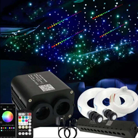 Kit de fibres optiques mixtes RVBW bicolores à double trou pour plafond de voiture effet ciel étoilé