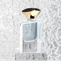 Flacons de parfum recyclables au design unique, 30 ml, 50 ml, 100 ml, en verre transparent, estampage à chaud, service OEM/ODM, 100 pièces