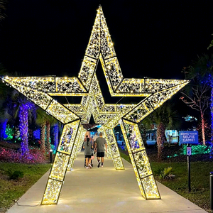 Customizable 3d <b>Led</b> <b>Star</b> Light Ip65 Outdoor Waterproof Christmas Decor For Mall Park Modern Easy Installation 2-year - Product Image 1