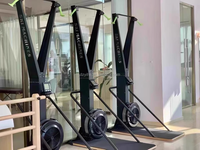 Vente en gros d'équipements de sport professionnels pour la compétition : Ergomètre de ski, Rameur, Appareil de fitness cardio, Simulateur de ski