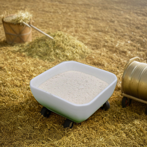 Shellight 90% чистый водорастворимый порошок хитозана для сельского хозяйства - Product Image 4