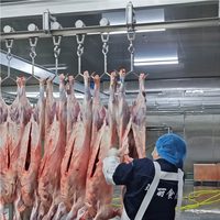 Planta de Sacrificio de Ovejas de Gran Capacidad y Alto Rendimiento, Equipo Halal para Sacrificio de Ovejas, Línea Completa de Producción para Sacrificio de Cabras