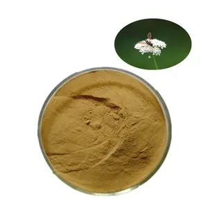 Quality Supplier Osthole 10:1 Cnidium Monnieri Seed Extract Powder