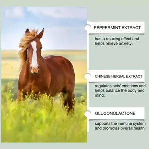 July 2026 valida 1 scatola di pasta nutritiva cavallo supporto immunitario vitamine minerali integratori personalizzabili per la cura della salute degli animali domestici senza cereali - Product Image 4