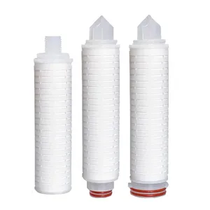 two layers of 0.2 micron Hydrophilic Polyvinilydene Fluoride PVDF membrane Cartridge Filter fit into sanitary housings