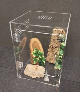 Tùy chỉnh <span class=keywords><strong>Acrylic</strong></span> bò sát bao vây với phía trước mở bao vây <span class=keywords><strong>Acrylic</strong></span> Lồng cho tắc kè rắn ếch thằn lằn nhện bò sát - Product Image 3