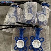 Katup kupu-kupu berlapis PTFE, tipe CL150 ASTM A216 WCB, tipe Lug Wafer Short Split Body, Full Lined Centered Disc