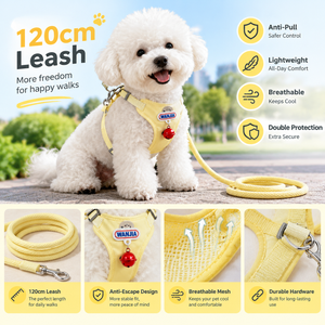 Harnais pour chien motif ours de dessin animé mignon avec clochette, ensemble gilet et laisse, poignée en mousse souple, laisse de promenade pour petit chiot, Bichon, Teddy - Product Image 4