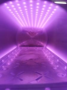 बेंचटॉप वैक्यूम प्लाज्मा सफाई मशीन प्लाज्मा क्लीनर प्रयोगशाला अनुसंधान के लिए प्लाज्मा क्लीनर - Product Image 2