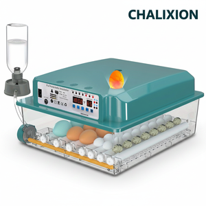 Incubateur intelligent entièrement automatique à température constante pour usage domestique, capacité de 16 à 120 œufs, incubateur pour œufs <span class=keywords><strong>d</strong></span>'<span class=keywords><strong>oiseaux</strong></span> - Product Image 2