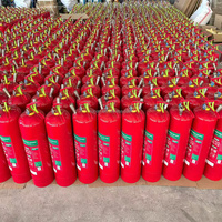 Prix de l'extincteur à poudre chimique sèche de classe D de 9 kg (10 livres) et de l'extincteur ABC de 6 kg en peinture rouge