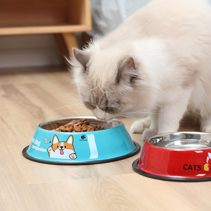 Pet Bowl Stainless Steel Color Decals