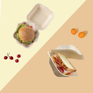 Sinh thái thân thiện phân hủy sinh học bã mía Nâu 6x6 100% dùng một lần Bento hộp compostable Khay vỏ sò đưa ra thực phẩm <span class=keywords><strong>container</strong></span> - Product Image 5