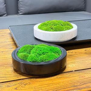 Taille libre <span class=keywords><strong>Mousse</strong></span> <span class=keywords><strong>Et</strong></span> <span class=keywords><strong>Lichen</strong></span> <span class=keywords><strong>Mousse</strong></span> Naturelle Art Décoration Conservée Stabilisée <span class=keywords><strong>Mousse</strong></span> Pot De Fleurs Modèle Maison Table Ornements - Product Image 5