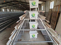 Nouvelle cage à poulets galvanisée à chaud à longue durée de vie, 4 niveaux, capacité de 96 à 160 oiseaux, équipement d'élevage avicole automatique, poulailler