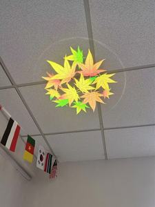 <span class=keywords><strong>Projecteur</strong></span> Gobo d'extérieur étanche avec rotation d'image pour éclairage d'<span class=keywords><strong>arbre</strong></span> - Product Image 5