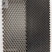 Grille en nid d'abeille en acier inoxydable chinois 304/316, résistante au feu et à l'eau, écologique, taille personnalisée pour une utilisation en cuisine