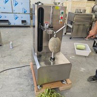 Éplucheur et trancheur électrique de mangues pour la préparation de chips, machine à éplucher les fruits et légumes verts crus