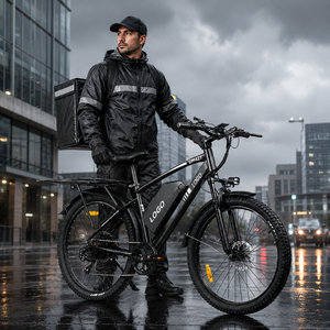 Vélo de montagne électrique DM427 27,5 pouces 750W 48V Batterie au lithium Double suspension Vélo électrique urbain pour adultes Étanche - Product Image 1