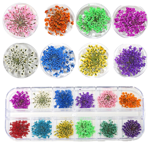 สติกเกอร์ตกแต่งเล็บลายผีเสื้อ 3 มิติ สไตล์ฝรั่งเศส 12 ช่อง ลายสีสันสวยงาม - Product Image 1