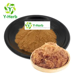 Stigma Maydis P.E. Factory Price Cornsilk Extract 5% Beta-Sitosterol Corn Silk/Stigma Maydis Extract Powder