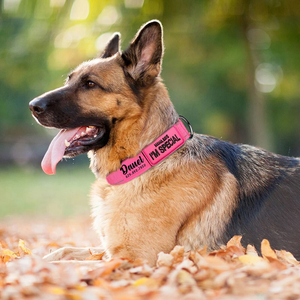 Gran oferta, Collar de perro bordado personalizado con rayas reflectantes, nombre personalizado, etiqueta de teléfono ajustable para perros medianos y grandes - Product Image 6