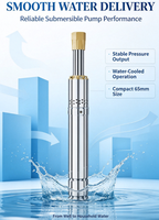Pompe submersible pour puits étroit de 2,5 pouces, pompe à eau multi-étages en acier inoxydable pour l'alimentation en eau potable domestique et l'utilisation agricole