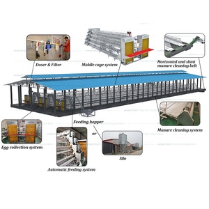Kandang Ayam Modern Berbahan Baja Galvanis Otomatis Tipe Baterai untuk Ayam Petelur Industri - Product Image 4