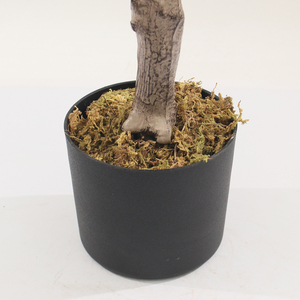 JWS3943 Real Touch Venta caliente plantas de árboles artificiales Douban mejor calidad plantas de plástico hojas para Decoración - Product Image 4