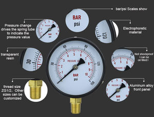 Manometro per Pressione Idraulica e Gas 10 Bar con Alloggiamento in Ferro Nero 100mm, Precisione <span class=keywords><strong>1</strong></span>.<span class=keywords><strong>6</strong></span>% - Product Image 5